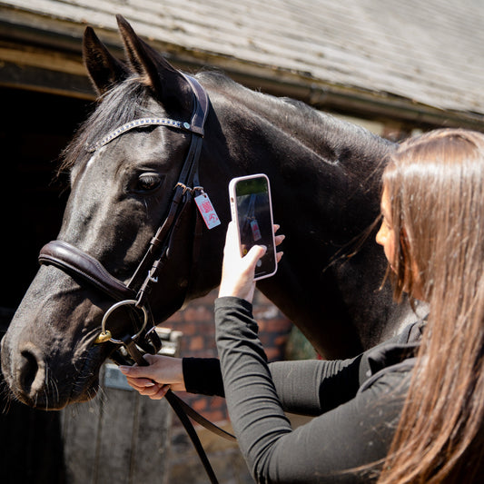 Why Every Horse Rider Needs a QR Emergency Card | Equine QR®