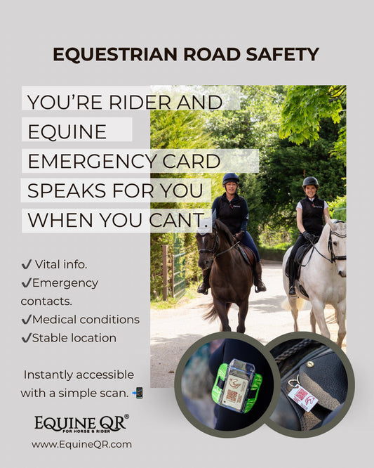 Equestrian Road Safety: What to Do If You Fall Off Alone