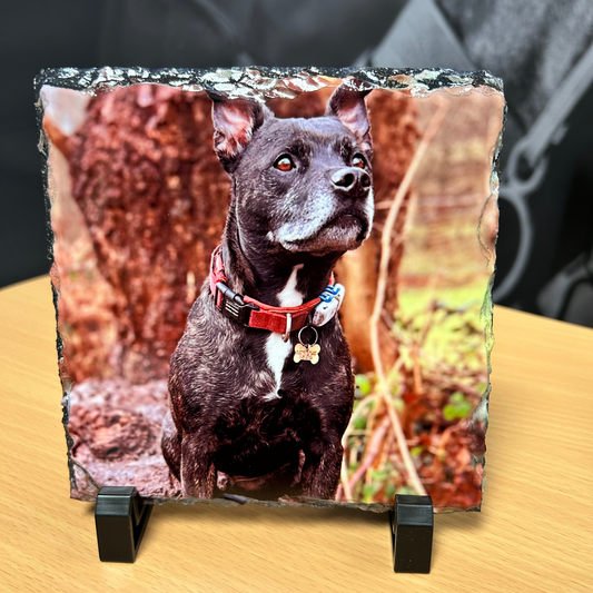 Photo Slate (Square)