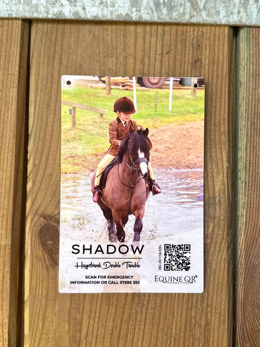 Equine QR Aluminium Personalised Travel Sign