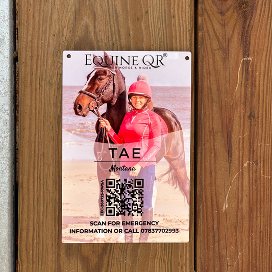 Equine QR Personalised Travel Sign