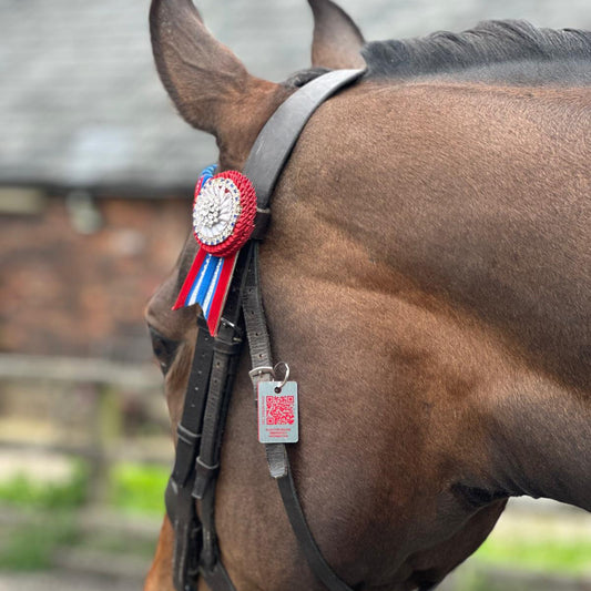 Equine Emergency Tag