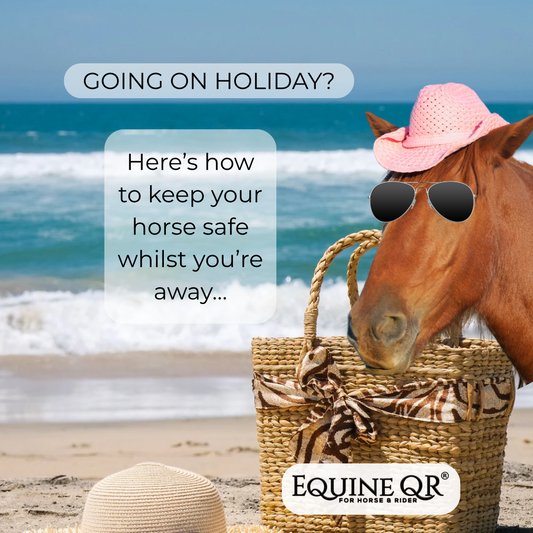 How to Make Sure My Horse Is Safe Whilst I’m on Holiday 🏖️🐴
