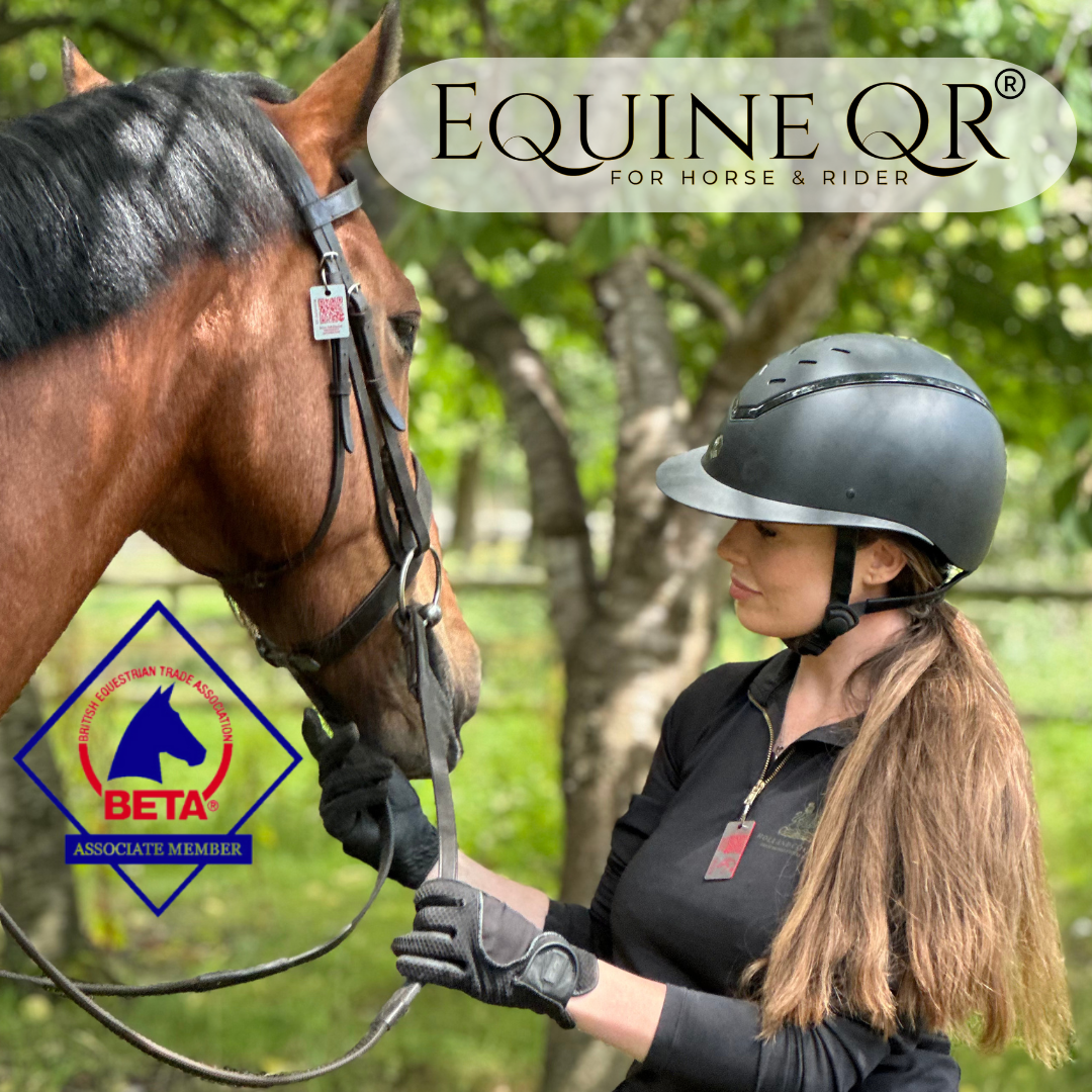 We’re Now a BETA Member – Here’s What That Means for You and Your Horse