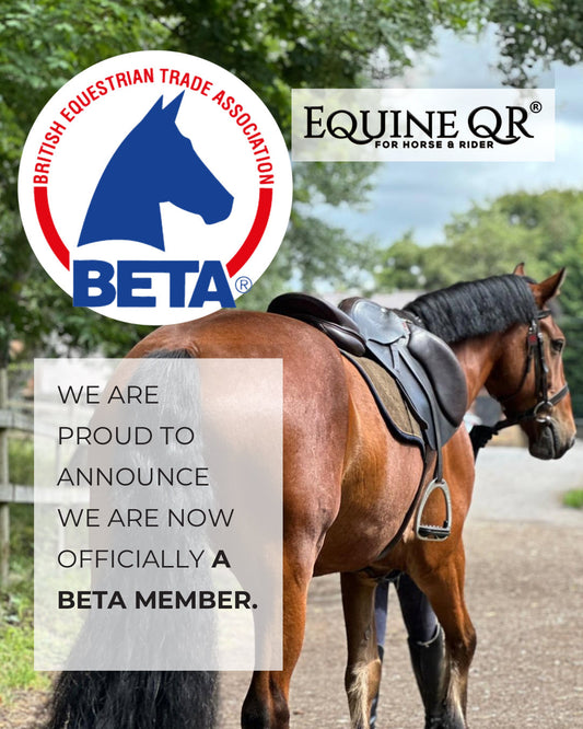 We’re Now a BETA Member – Here’s What That Means for You and Your Horse