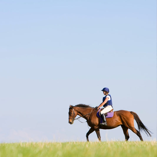 Essential Summer Safety Gear for Horse Riders: 5 Must-Haves for Every Hack