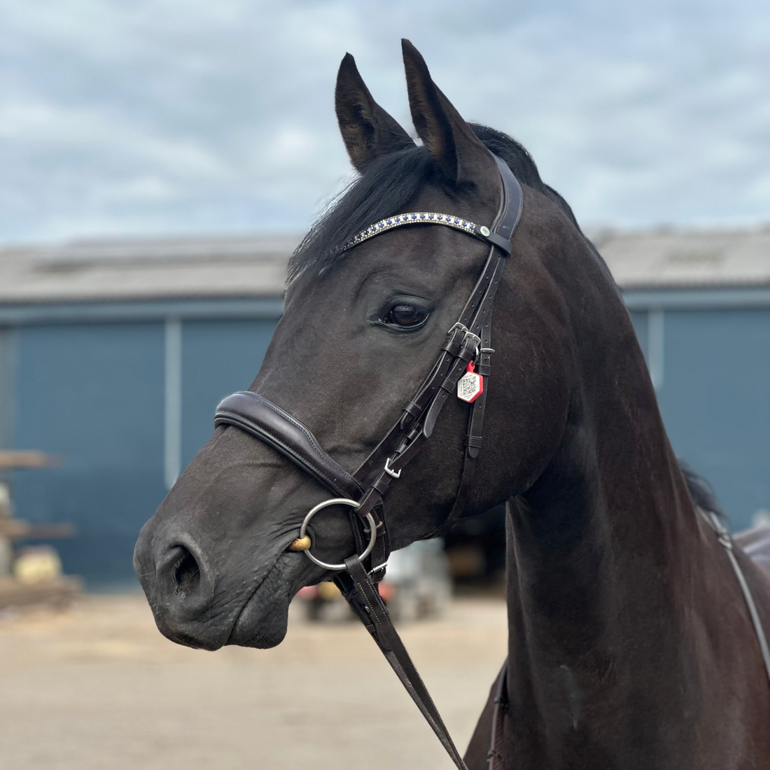 How QR Emergency Tags Work for Horses and Riders