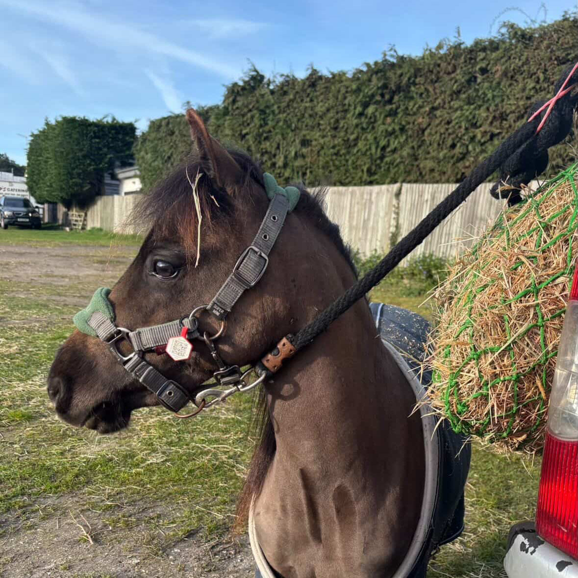 Small Equine and Rider Tag Set