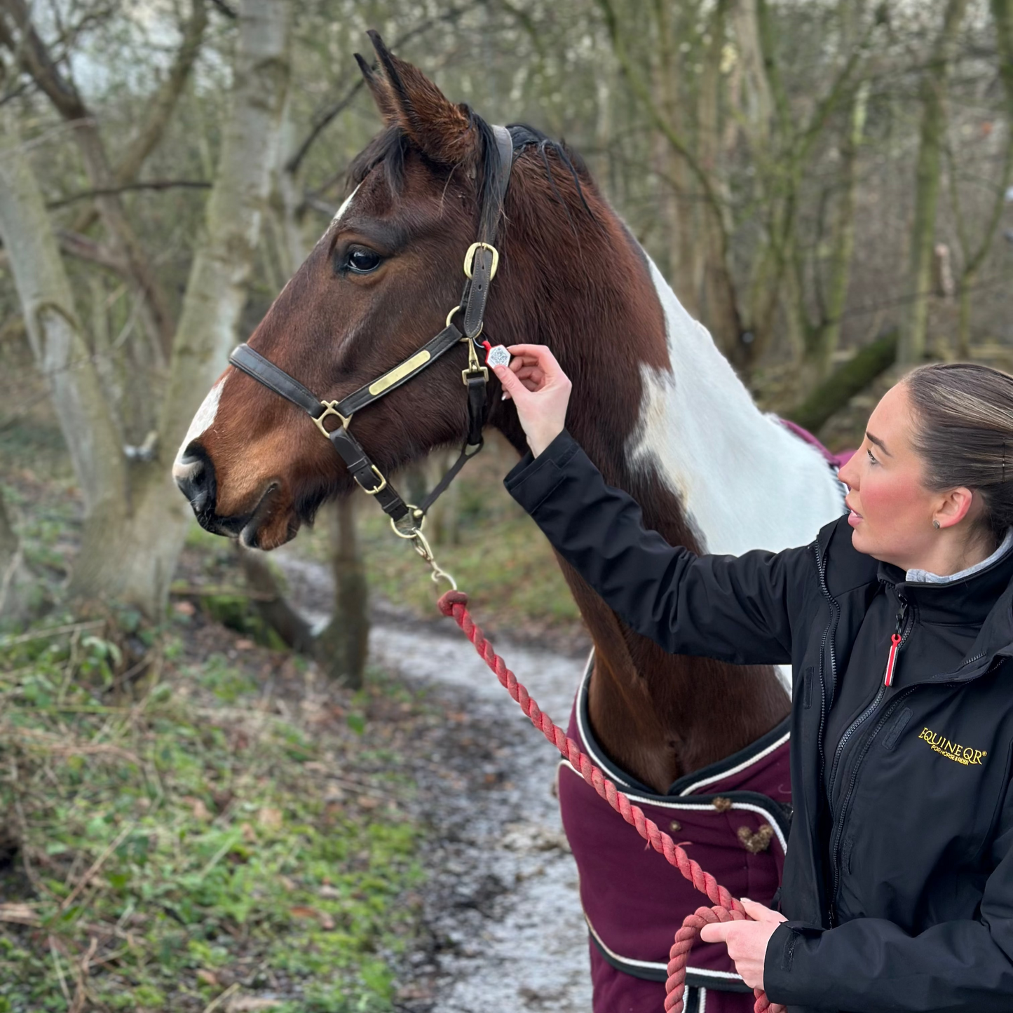 Equine Emergency Tag (EnduroTag)