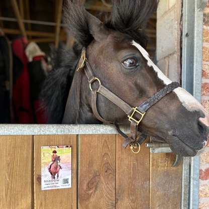 Equine QR Aluminium Personalised Travel Sign