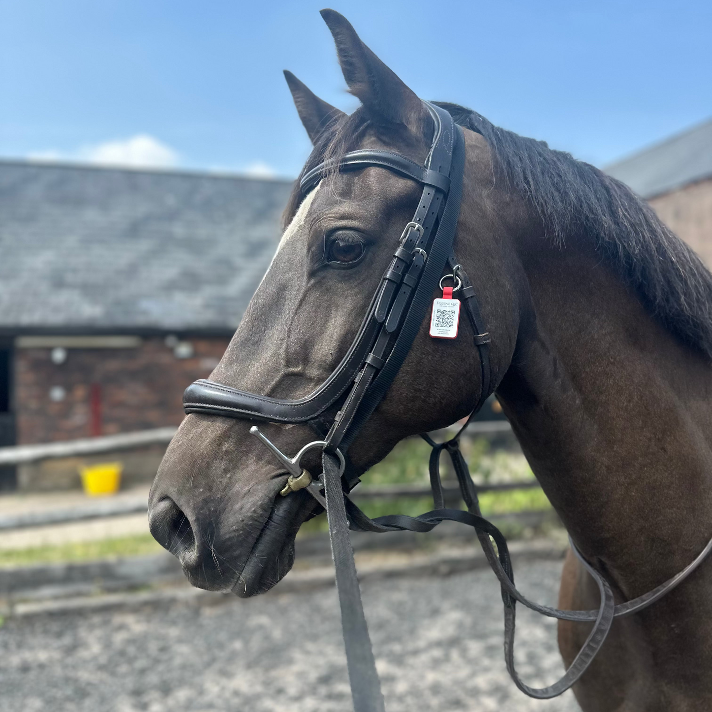 Equine Emergency Tags