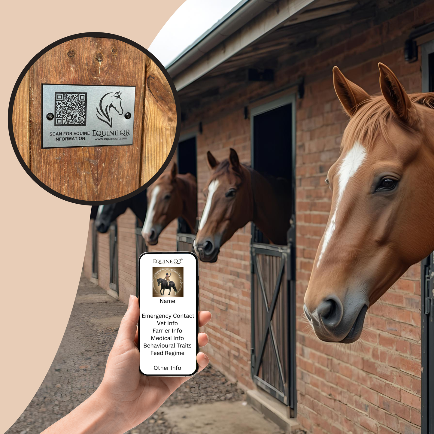 Equine QR Mount