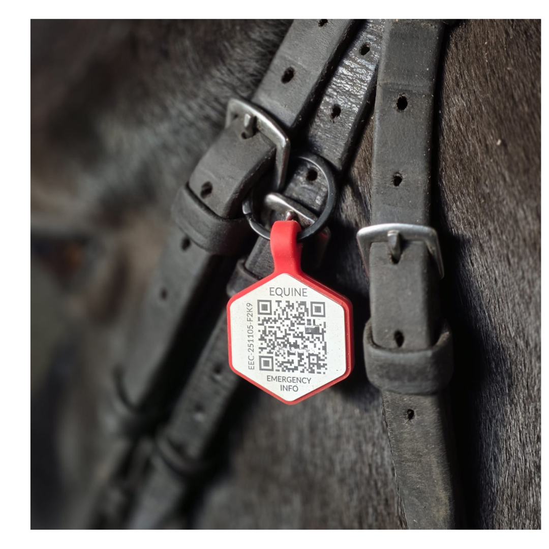 Equine Emergency Tag (EnduroTag)
