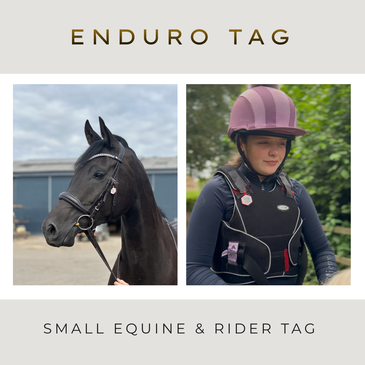 Small Equine and Rider Tag Set